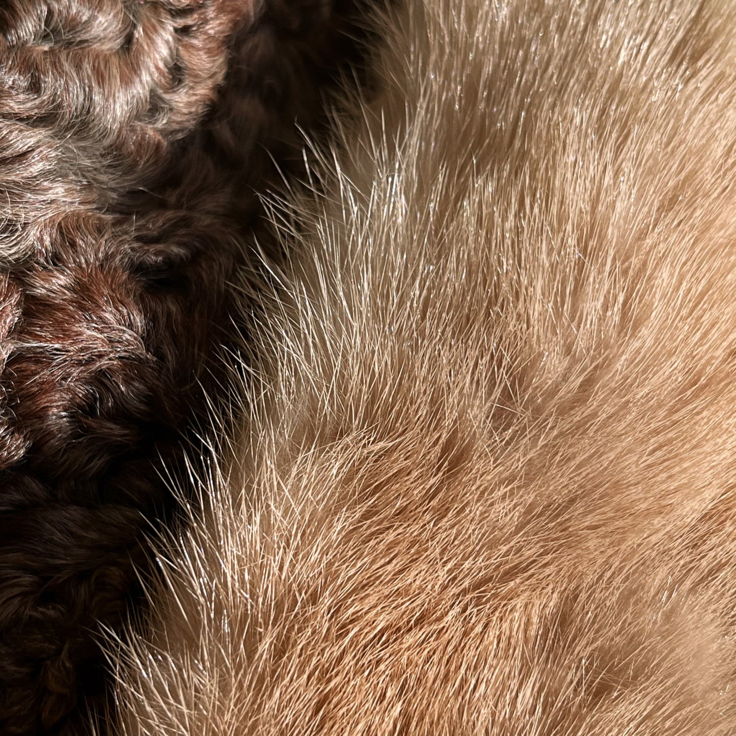 1960s Vintage Greenblatt’s Lamb and Mink Fur Coat