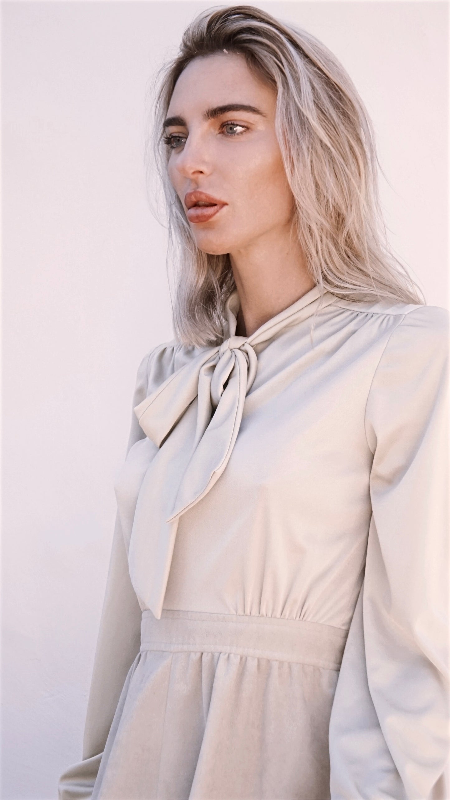 Vintage Verona Secretary Dress - SHOP EZRA