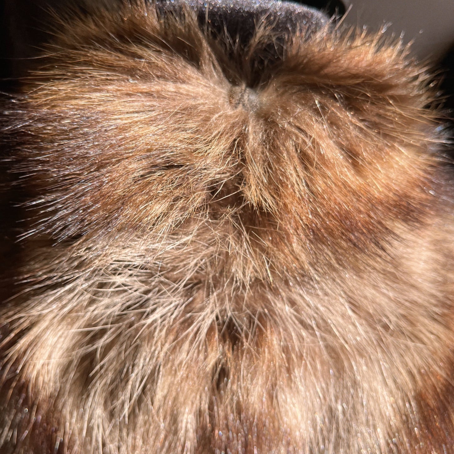 RESERVED / Vintage Givenchy Haute Fourrures Raccoon Fur Coat